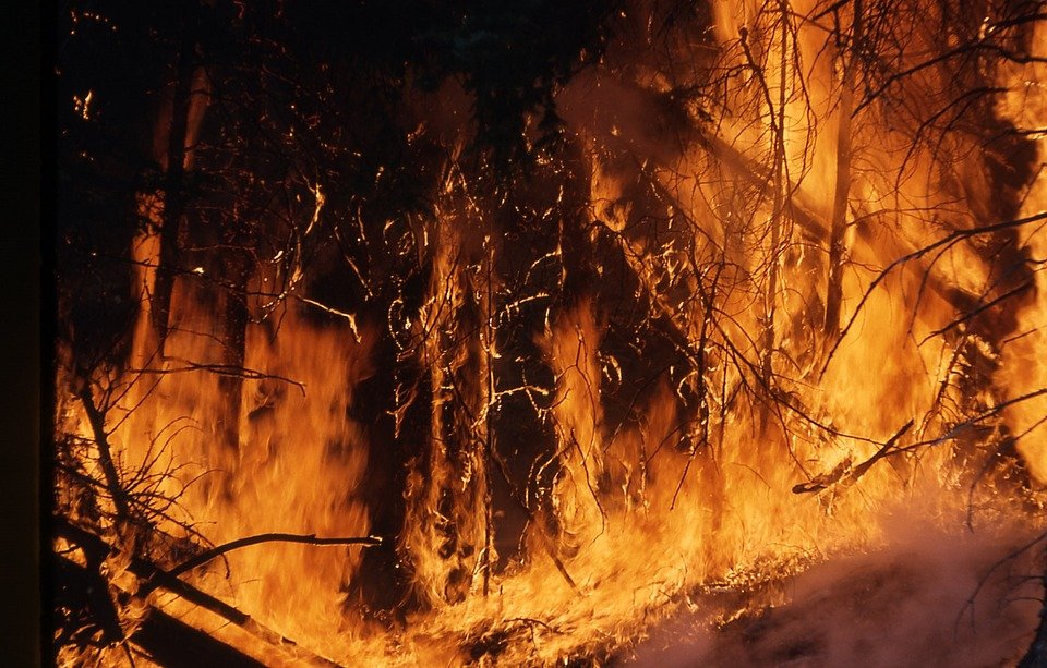 Wildfires, Cell Towers and Power Outages